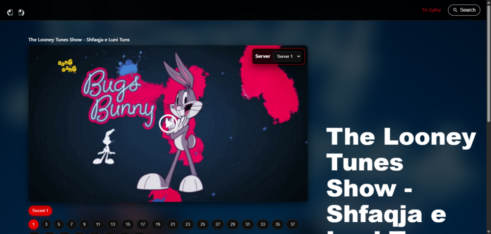 ScreenShot Tool -20251123205810.png