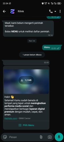 rilink1.jpeg