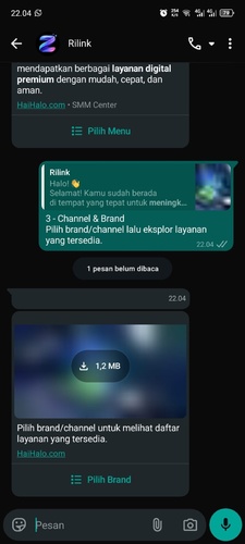 rilink3.jpeg