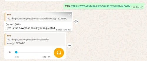 2 (6).webp